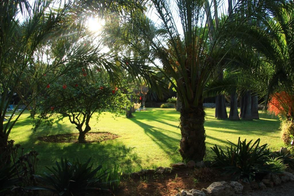 Finca Hotel Predio Son Serra Can Picafort  Extérieur photo